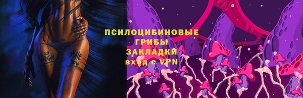 прущая мука Гусь-Хрустальный