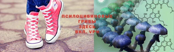 mix Гусев