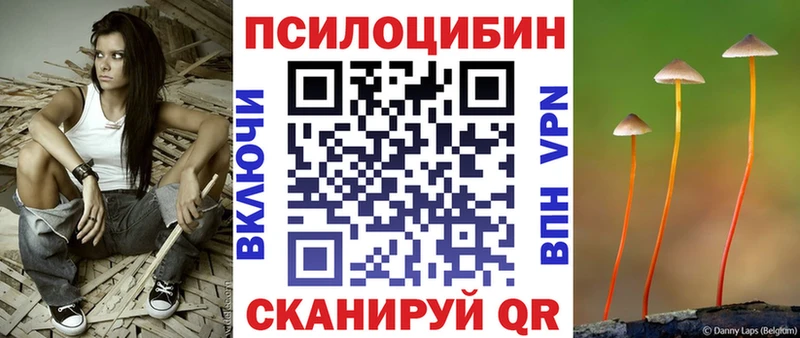 Псилоцибиновые грибы Cubensis  купить наркотик  Зверево 